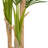 74.8'' Faux Fern Tree in Cement Pot