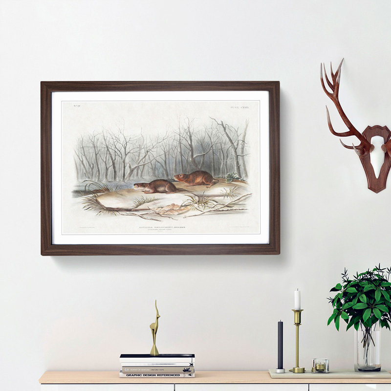 Meadow Mouse by J.W. Audubon - Framed Print, 48cm H x 65cm W x 2cm D, Walnut Framed