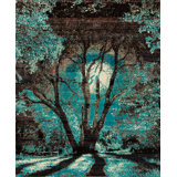 Aryana Wool Area Rug