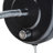 Penstemon Plug-in Wallchiere-1564316551