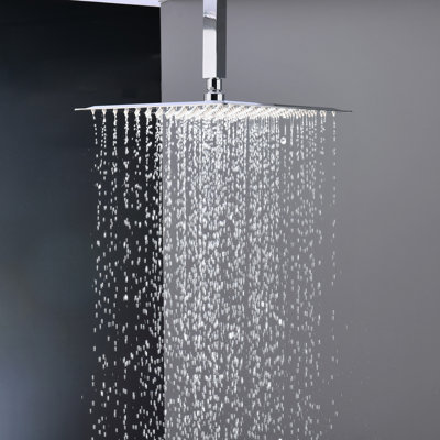 Pomme de douche Contemporary