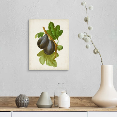 Antique Fruit VI - reproduction d'art sur toile