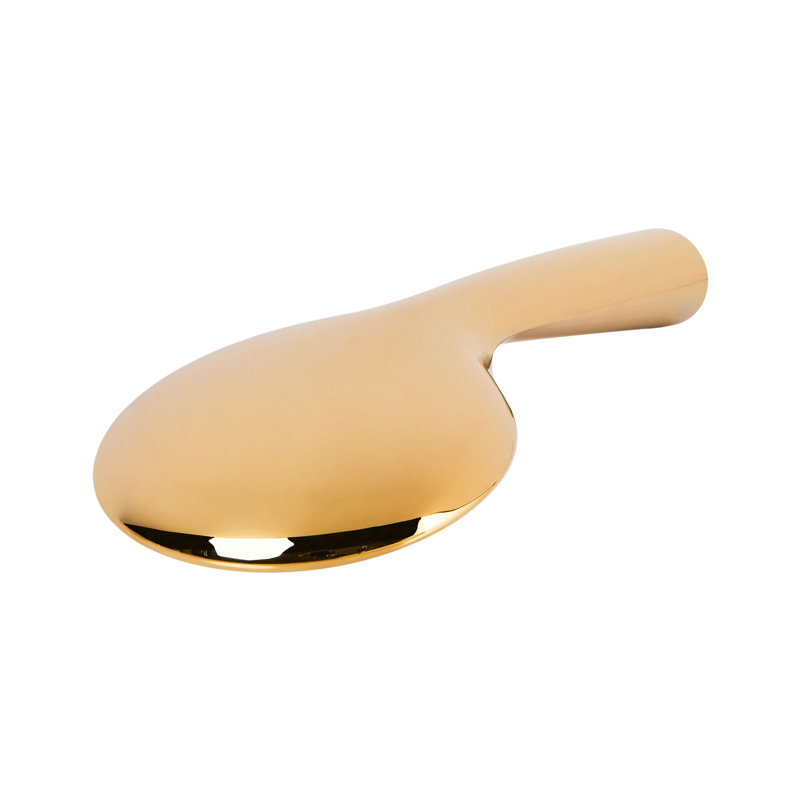 Shower Head and Hose Kit TUMPLE, Gold
