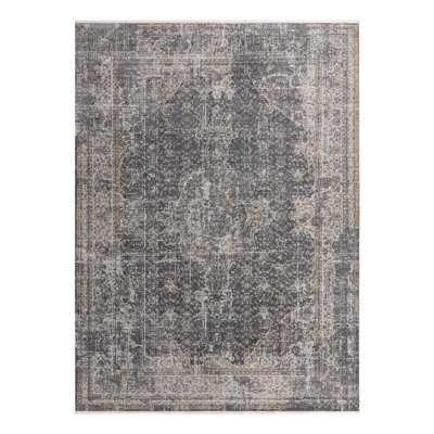 Folmar Oriental Fume Gray Area Rug