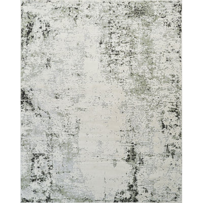 Haraidh Power Loom High-Low Area Rug