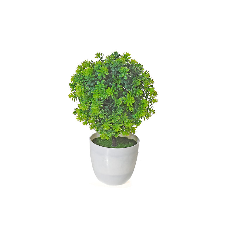 Centre de table topiaire en pot