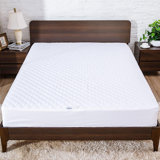 Kallie Waterproof Fitted Mattress Protector Mattress Protector Case Pack