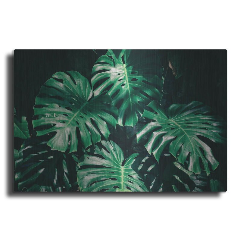 «Tropical» par PhotoINC Studio, H 16 po x l 24 po