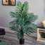 Palmier Charleca Areca-1960392809