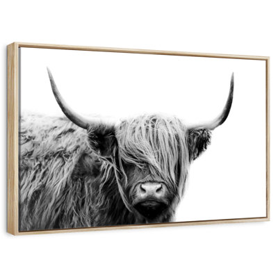 BW Highland Cow