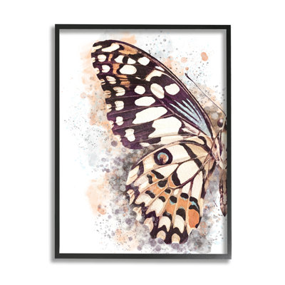 Gros plan sur une aile de papillon