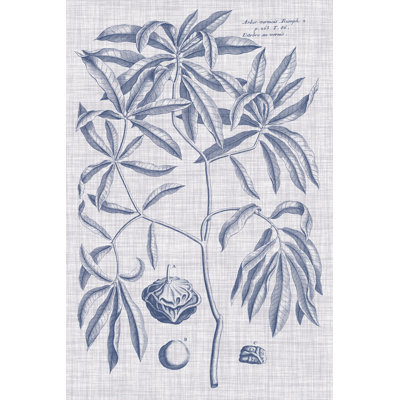 Navy & Linen Botanical V - Wrapped Canvas Print