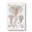 Crinoids by Ernst Haeckel - Wrapped Canvas-61849140