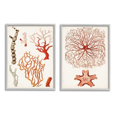 Collage of Unique Ocean Coral Red Brown - 2 Piece Graphic Art Print Set -  Stupell Industries, a2-085_gff_2pc_11x14