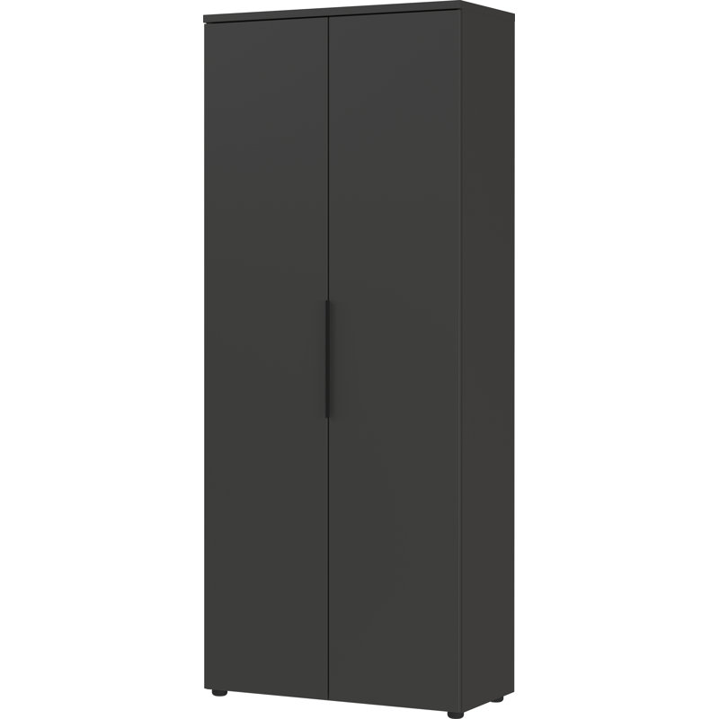 Mastandrea 2 -Door 5 -Shelf Storage Cabinet, Graphite
