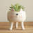 Ceramic Pot Planter