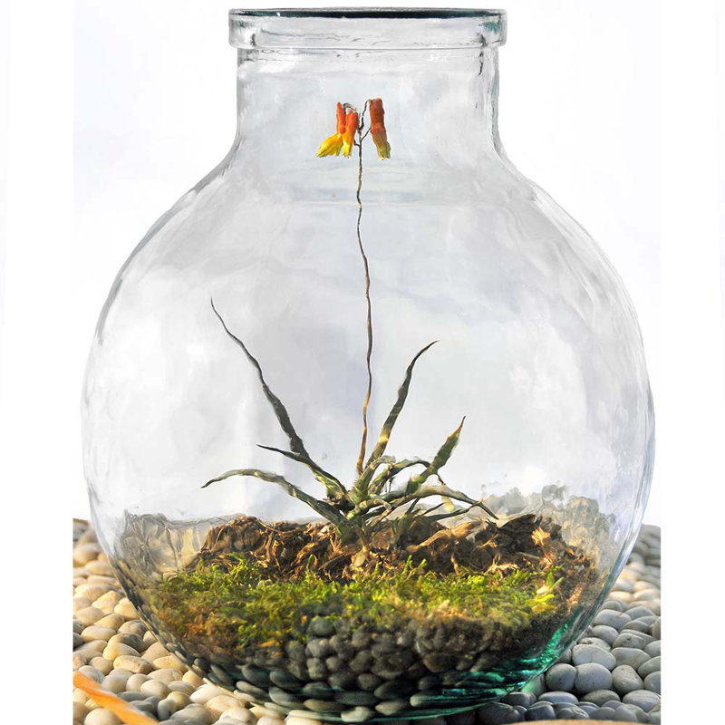 Pot de rangement Sphere, H 12 po x l 9,5 po x P 9,5 po