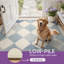 Tapis intérieur bleu / beige lavable à la machine Teshayla-979863578-988420825