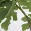 Arbre artificiel en pot 65,57 po-97863893