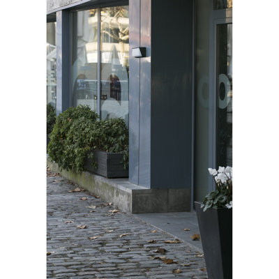 Lavina Integrated LED Outdoor Flush Mount