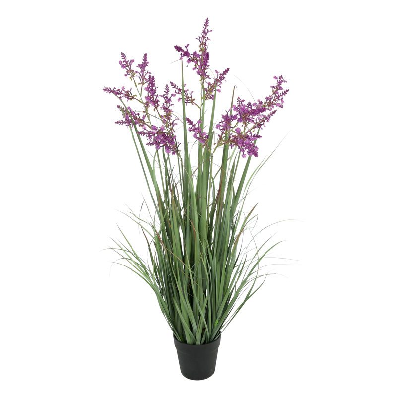 Lavender Drop-In Plant