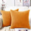 Cotton Square Cushion-342123347