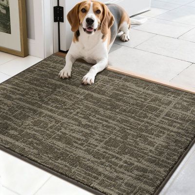 Non-Slip Absorbent Door Mat with TPR Backing – Soft, Washable, Low-Profile Doormat for Indoor Entrance, Perfect for Pets & Family