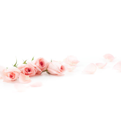 Roses roses et pétales par Esolla