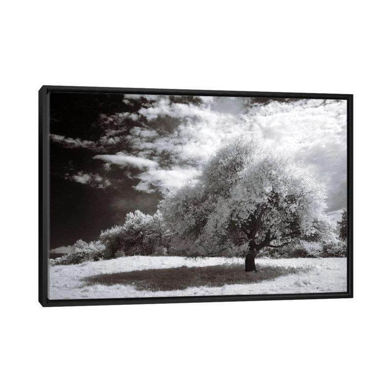 « paix », impression sur toile, H 18 po x l 26 po x P 1,5 po, Toile avec cadre noir, Pas de tapis