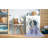 Indoor Rug-584619746