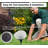 3pc Solar Rock Pathway Led Lights
