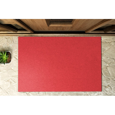 Non-Slip Outdoor Doormat