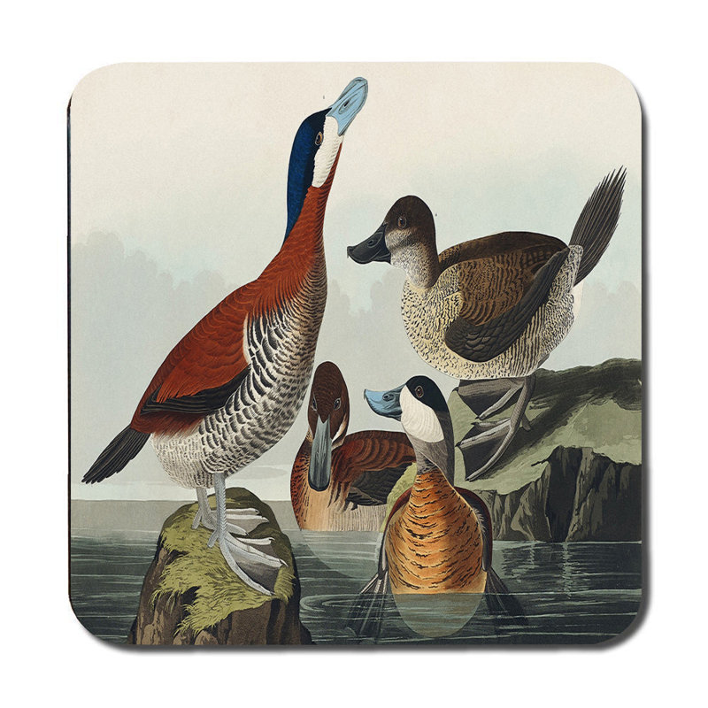 Duck And Goose Placemats And Coaster Set Featuring Vintage Bird Artwork