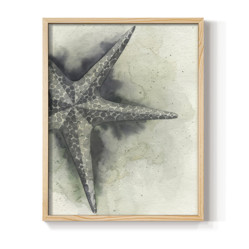 «Found Starfish I», reproduction encadrée - bois massif, Naturel, H 30 po x l 24 po