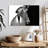 Brampt Zebra Contrast-107691989
