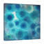 « peacock cercles abstract » par tre sorelle studios, reproduction d’art sur toile tendue-20025932