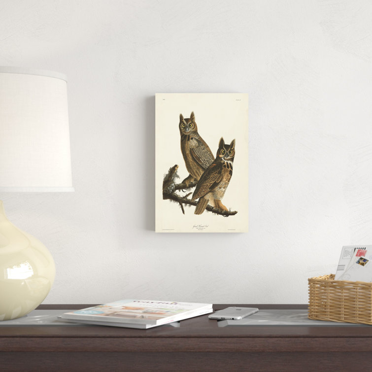 Red Barrel Studio® Pl 61 Great Horned Owl On Canvas by James Audubon ...