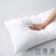 Oreiller très grand en polyester Wayfair Sleep-1390211850-1343429502