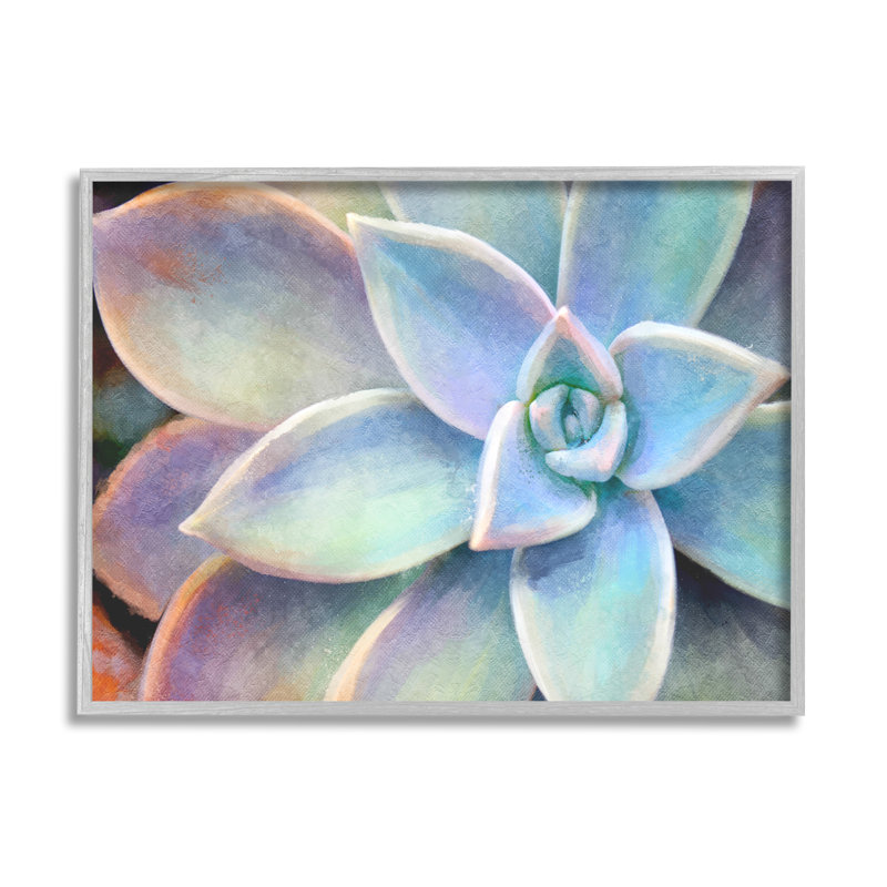 Succulent Plant Vibrant Bloom, peinture, L 24 po x H 30 po, Estampe numérique Farmhouse