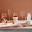 Mirage Crystal Wine Glass