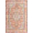 Alkire Oriental Area Rug-1740213807-1675488924