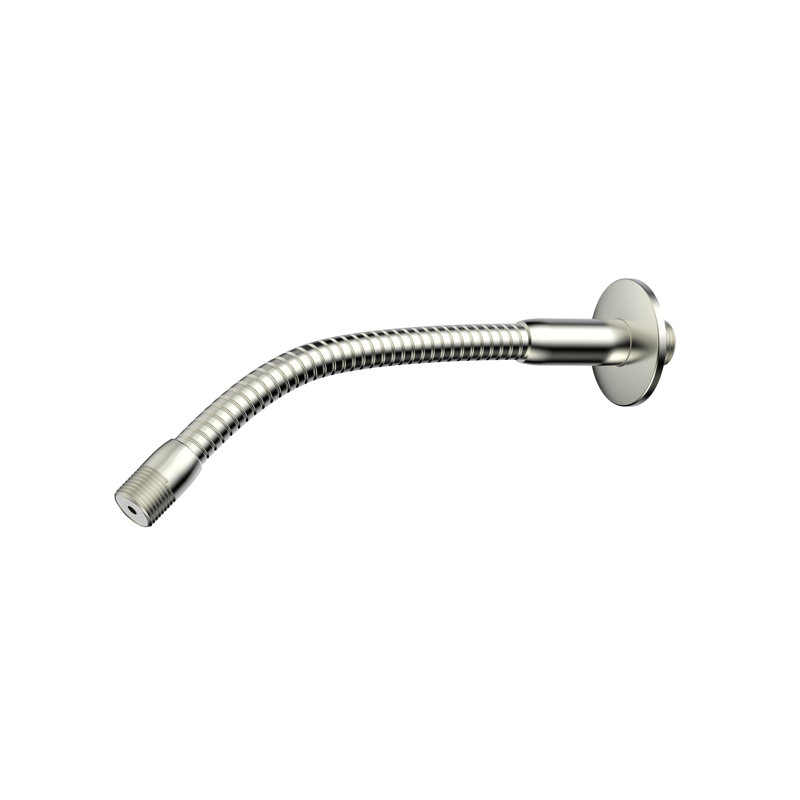 Bras de douche flexible et bride Stylewise, Nickel brossé