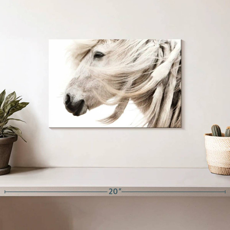 Brampt White Horse Mane, 8" H x 12" W