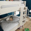 Single (3') Bunk Bed with Built-in Ladder Included