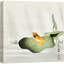 «Frog on Lotus Leaf», art animalier, impression sur toile encadrée-123462701-123462703