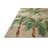 Loloi Botanical Clay / Green Area Rug-856232409
