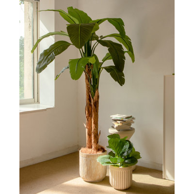 Bananier artificiel vert clair