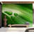 Floral Wall Mural-1366301021
