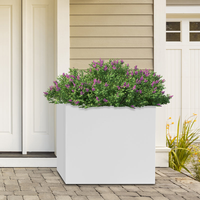 Boîte à fleurs Tuley, Blanc, H 24 po x l 24 po x P 24 po
