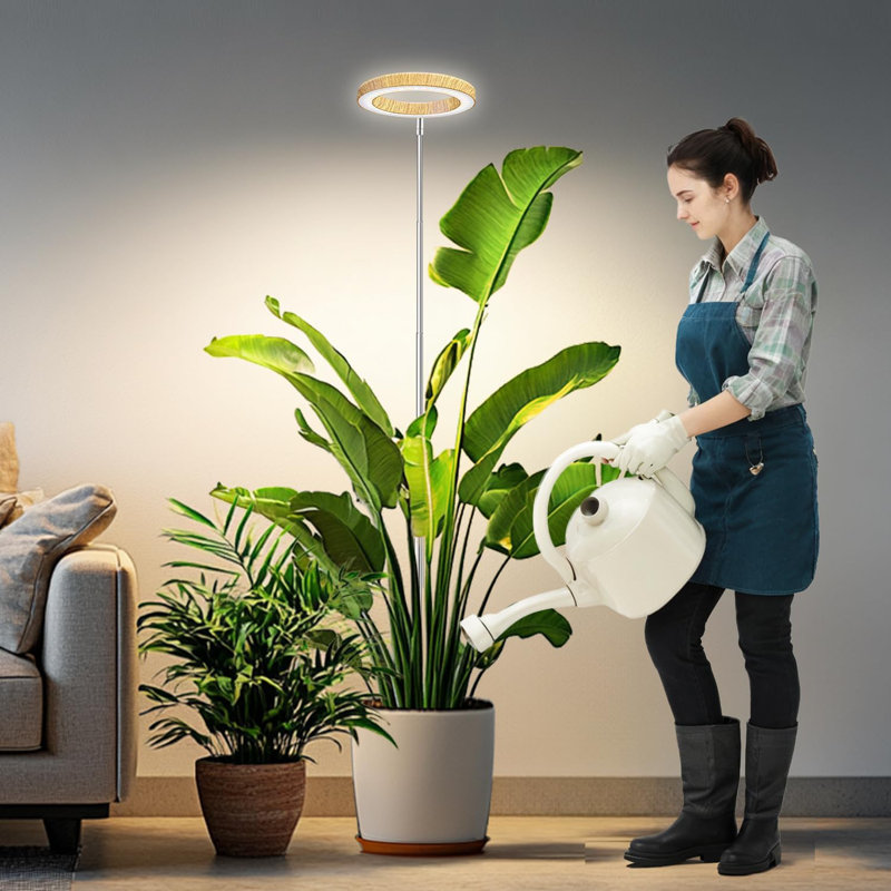 Cultivez des lumières pour les plantes d'intérieur, plantes à spectre complet pour la culture en intérieur avec minuterie 6/12 / 16H